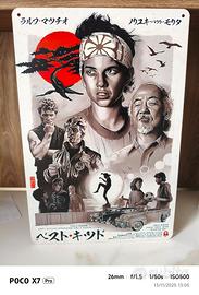 Karate Kid  stampa
