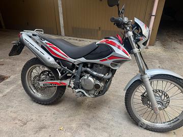 Beta Alp 4.0