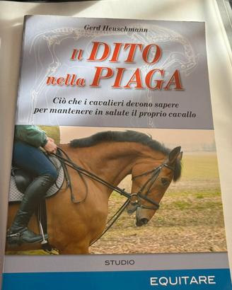 Dito nella piaga