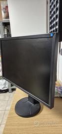 MONITOR PROFESSIONALE EIZO 24"