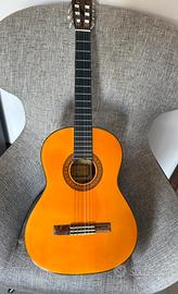 Chitarra classica Asahi