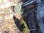 Immagine 11