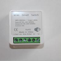 SMART SWITCH MINI WIFI Ewelink Alexa Relè 16A