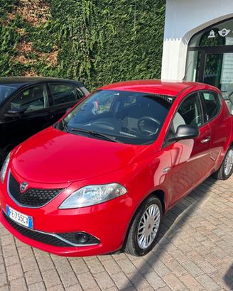 Lancia Ypsilon 1.2 69 CV 5 porte Platinum