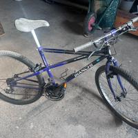 Bianchi ragno