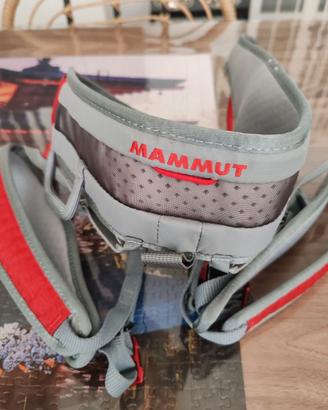 Imbracatura Mammut tg L