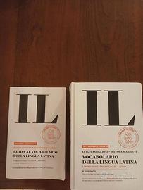 Dizionario 