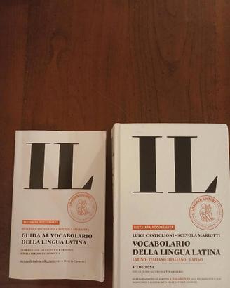 Dizionario 