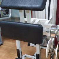 LEG CURL STANDING SERIE LUX TECHNOGYM