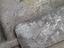 Immagine 13