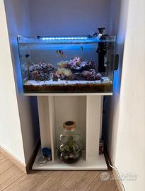 Acquario marino completo
