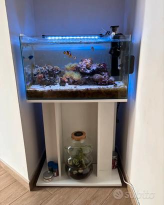 Acquario marino completo