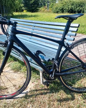 Cinelli corsa carbonio