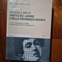 Manuale breve Diritto del lavoro e della previdenz