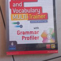 Grammar and vocabulary multi-trainer