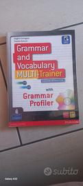 Grammar and vocabulary multi-trainer