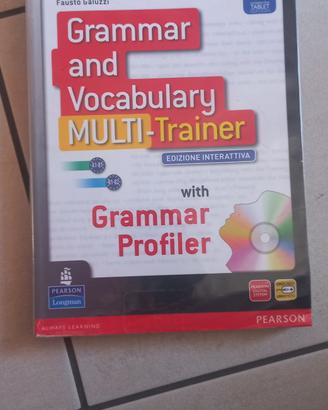Grammar and vocabulary multi-trainer