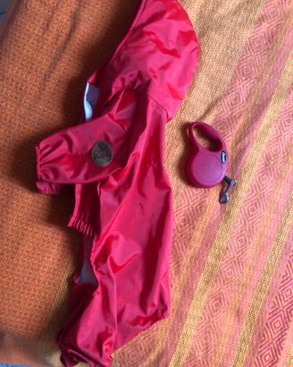 Vestitino per cane + guinzaglio Flexi