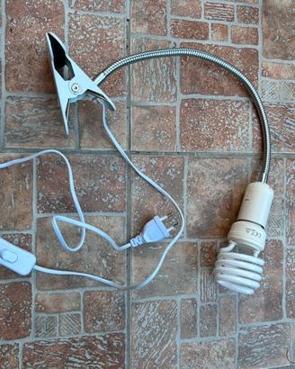 Lampada da scrivania / studio con morsetto