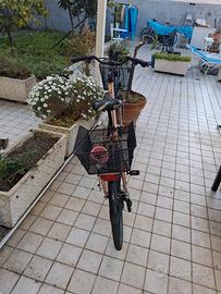 bicicletta botecchia