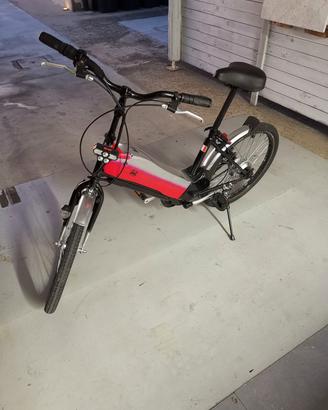 bicicletta dinghi ebike