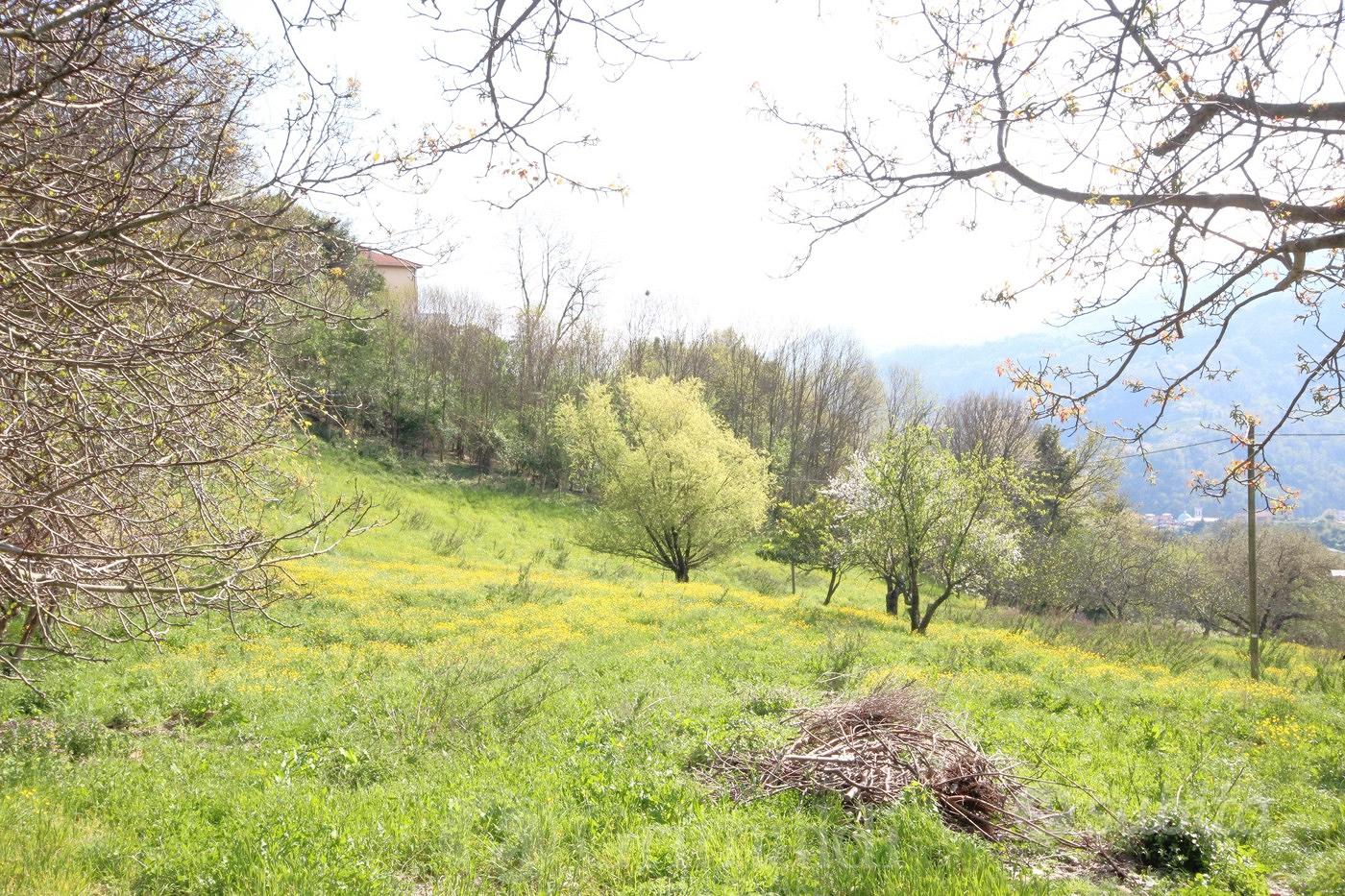 Rustico/Casale/Corte Genova [CRT1265VRG] - Vista 3