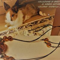 DUE BELLISSIMI Conigli sterilizzati-Roma