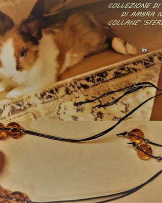 DUE BELLISSIMI Conigli sterilizzati-Roma