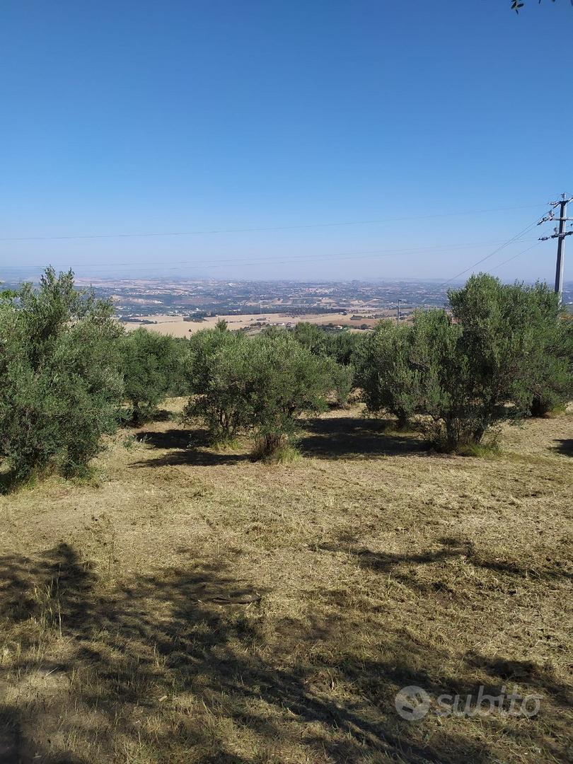 Terreno Edificabile Panoramico - Vista 3