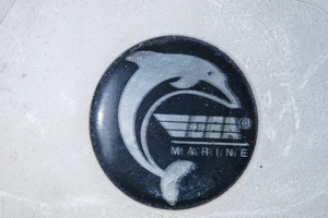 TIMONE BARCA e GOMMONE