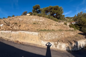 Terreno agricolo