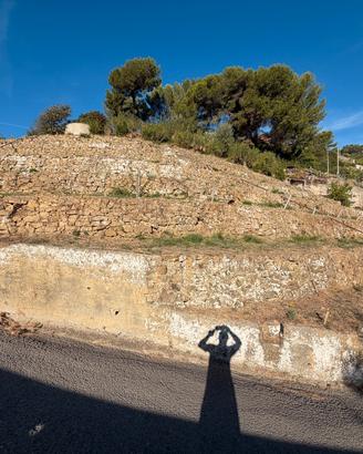 Terreno agricolo
