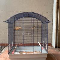 Gabbia per Uccellini, completa di accessori