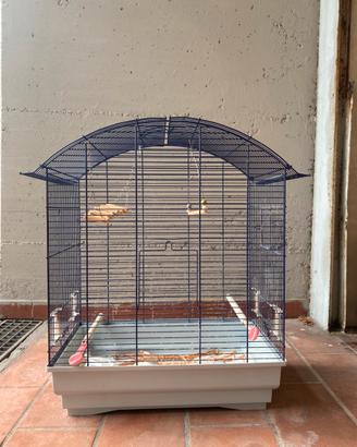 Gabbia per Uccellini, completa di accessori