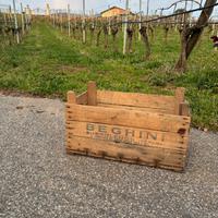 Cassette in legno per orto-frutta