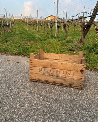 Cassette in legno per orto-frutta