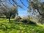 Immagine 30
