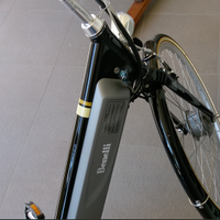 BICICLETTA ELETTRICA BENELLI