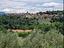 Immagine 22