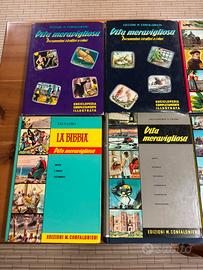 Enciclopedie vita meravigliosa