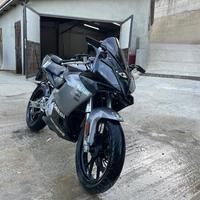 Derbi gpr 125 racing 2t 2008