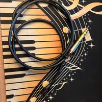 Cavo iphone dal 14  a Jack 6.3