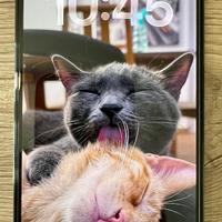 iPhone 12 Pro Max 256 GB Blu Pacifico – Perfetto