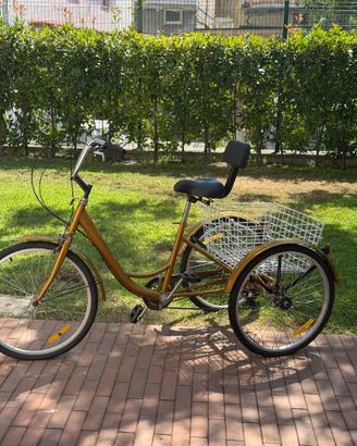 Bicicletta tre ruote