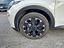 Immagine 7
