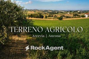 Terreno di 29773 m² a Arcevia