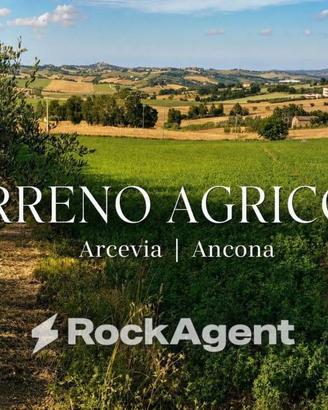 Terreno di 29773 m² a Arcevia