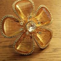 anello giallo 