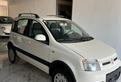 Fiat Panda 1.2 4x4