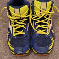 scarpe Mizuno